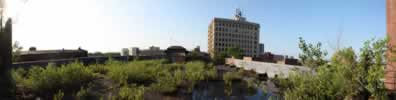 City Church