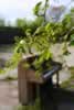 The Piano